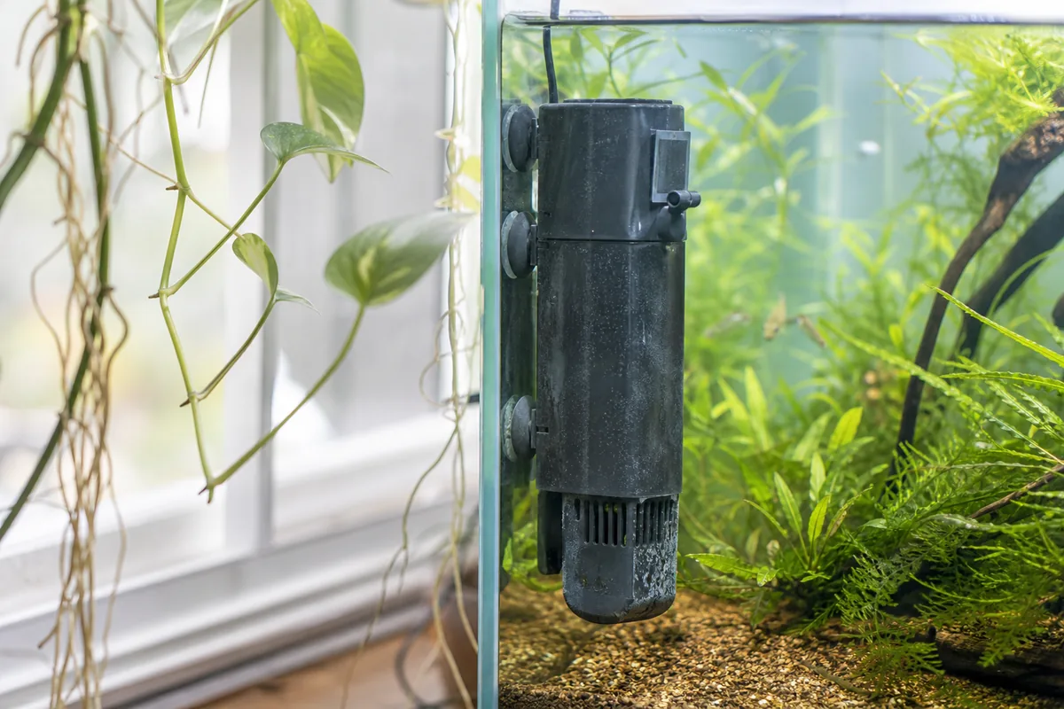 The Four filter Types: Which One Fits Your Tank