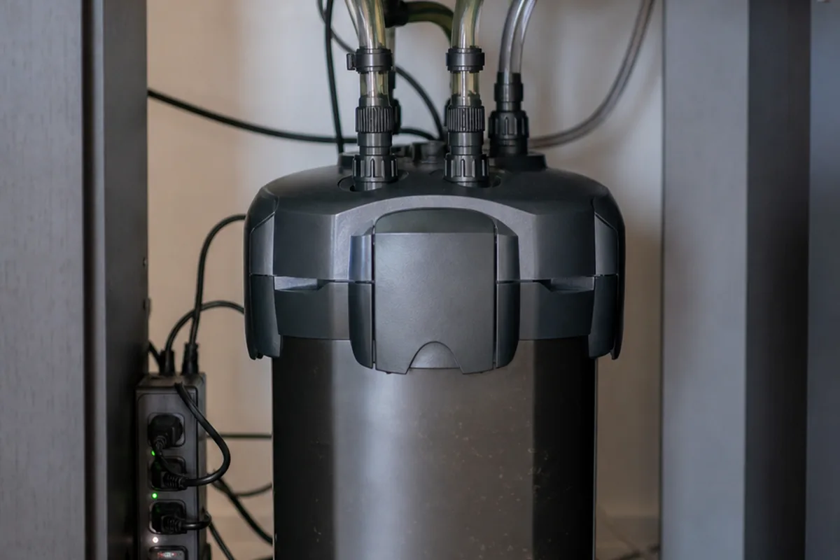 Which Aquarium Filter Handles Your Tank Size and Load?