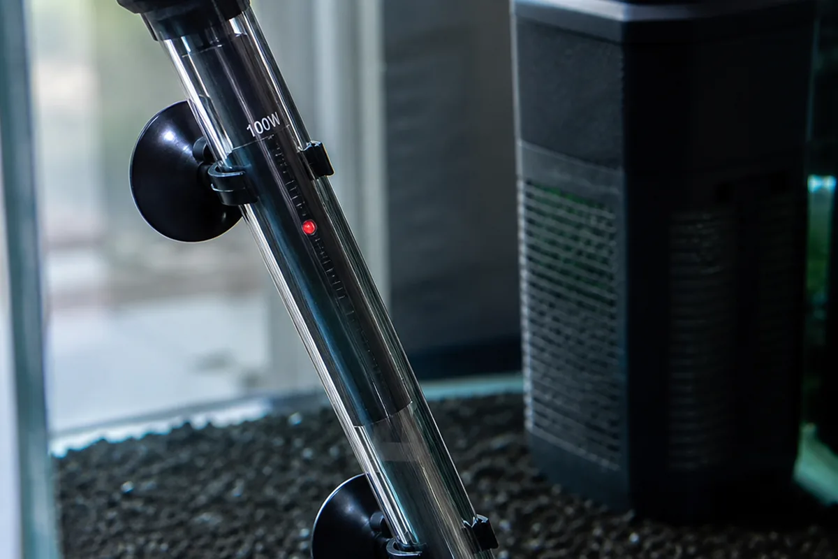 5 Best Aquarium Heaters Ranked