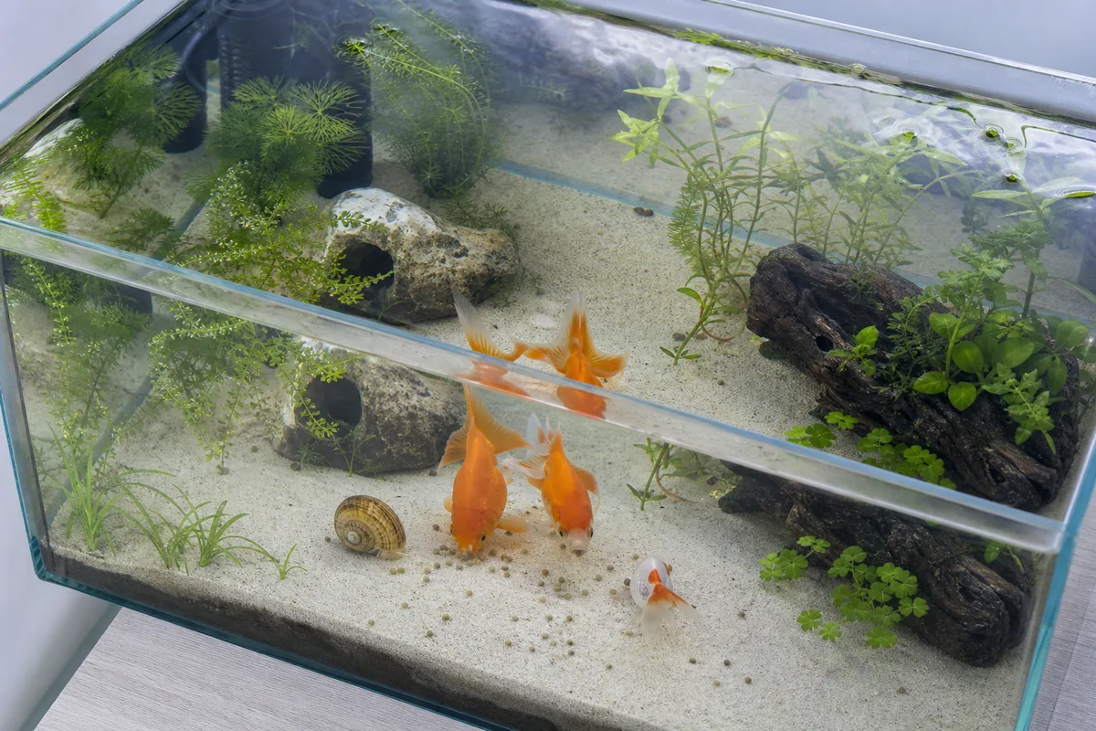 Water Chemistry Compatibility: Why This Part Is Easy