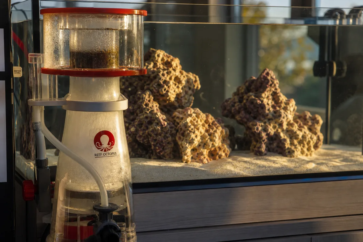 Needle wheel vs. venturi: which pump type produces better foam