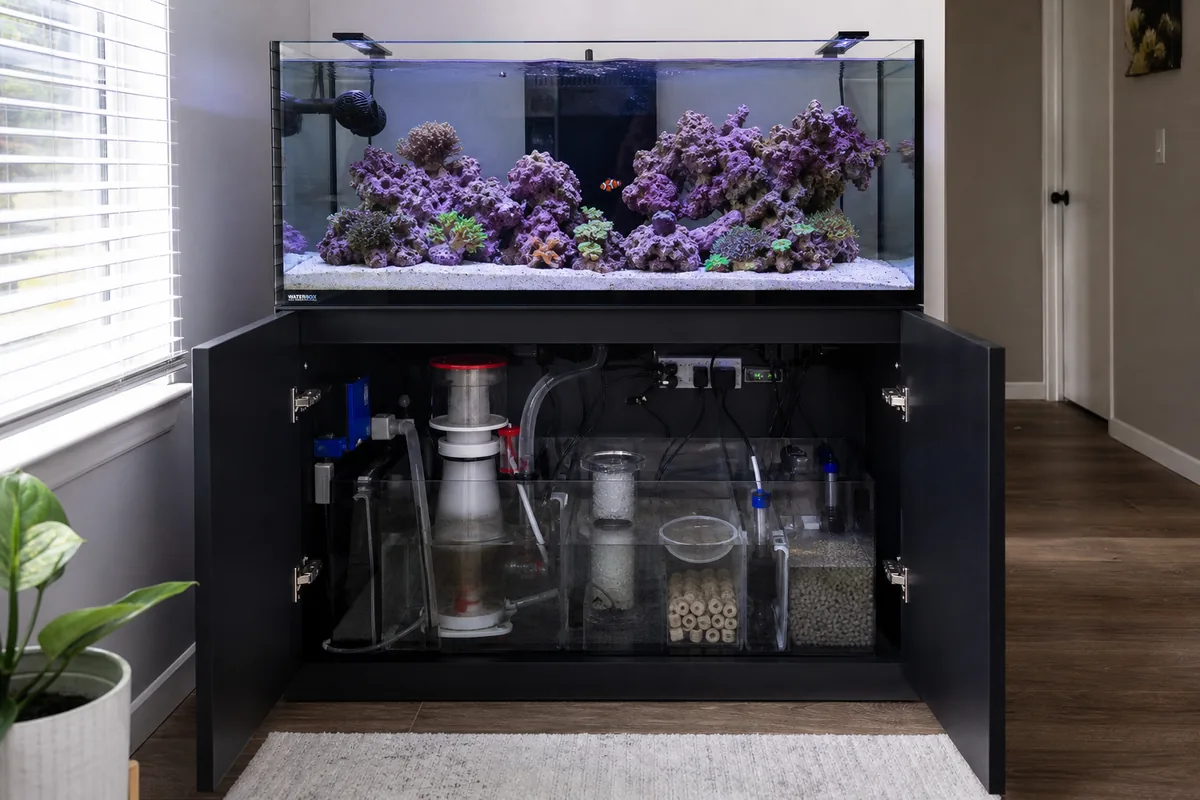What Does a Beginner Saltwater Tank Actually Cost?