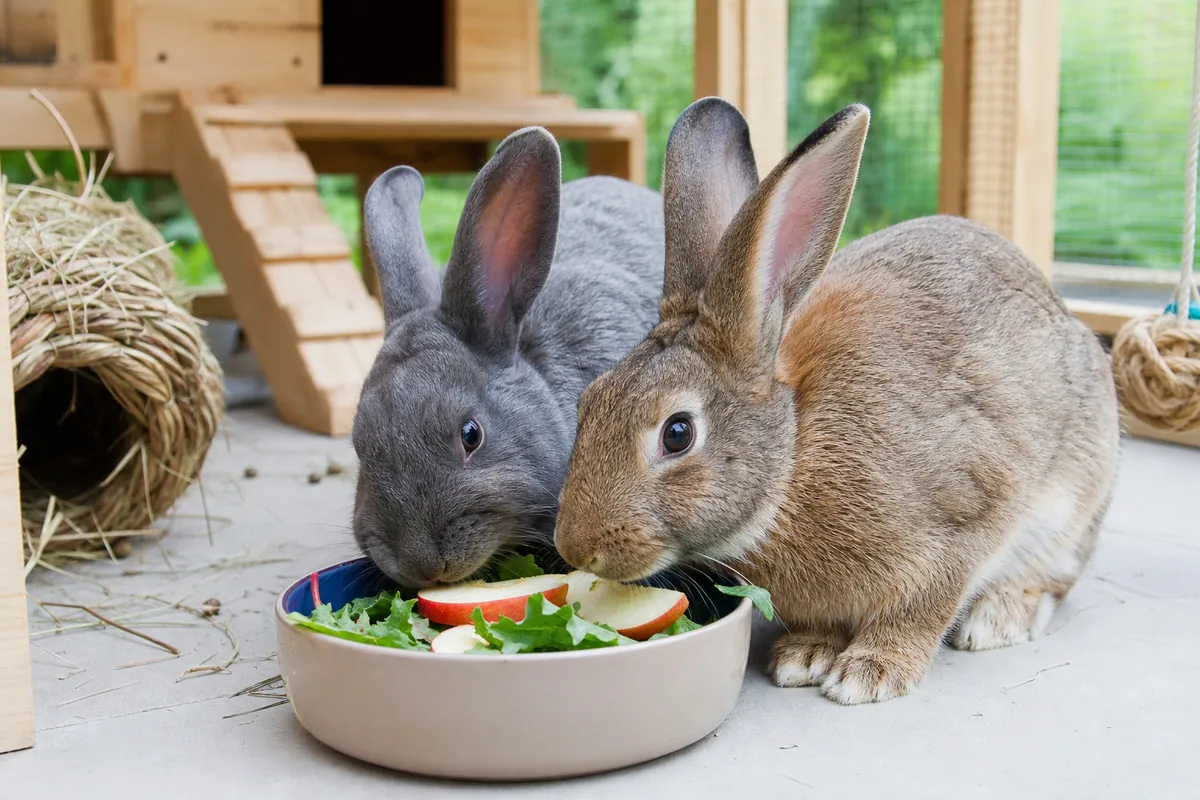 How Much Per Serving?